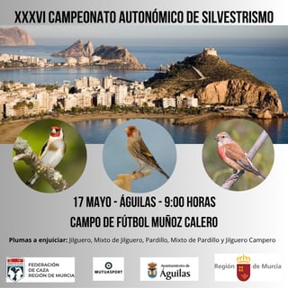 Imagen de XXXVI Campeonato Autonómico de Silvestrismo