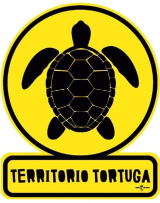 Imagen de Simulacro Territorio Tortuga - Día Mundial de las Tortugas Marinas