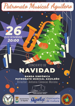 Cartel — Concierto de Navidad 2026