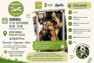 Cartel del Concurso de Perros AGUIPROAN