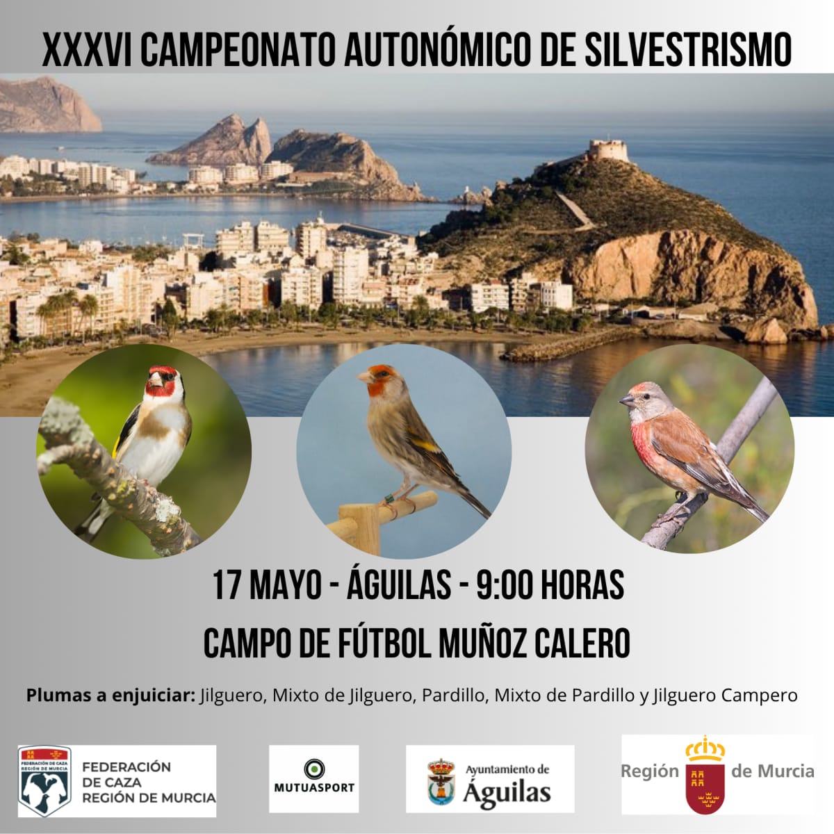 Imagen de XXXVI Campeonato Autonómico de Silvestrismo