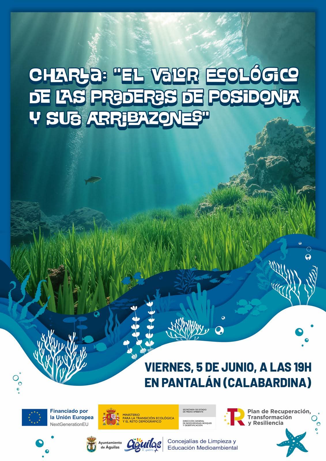 Imagen de Día Mundial del Medioambiente 2026 - Calabardina