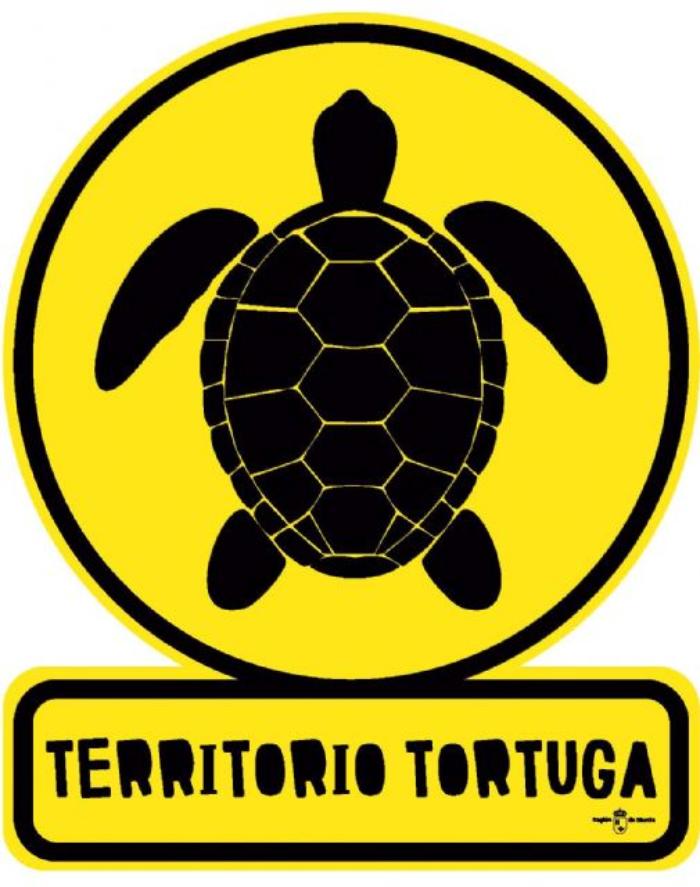 Imagen de Simulacro Territorio Tortuga - Día Mundial de las Tortugas Marinas