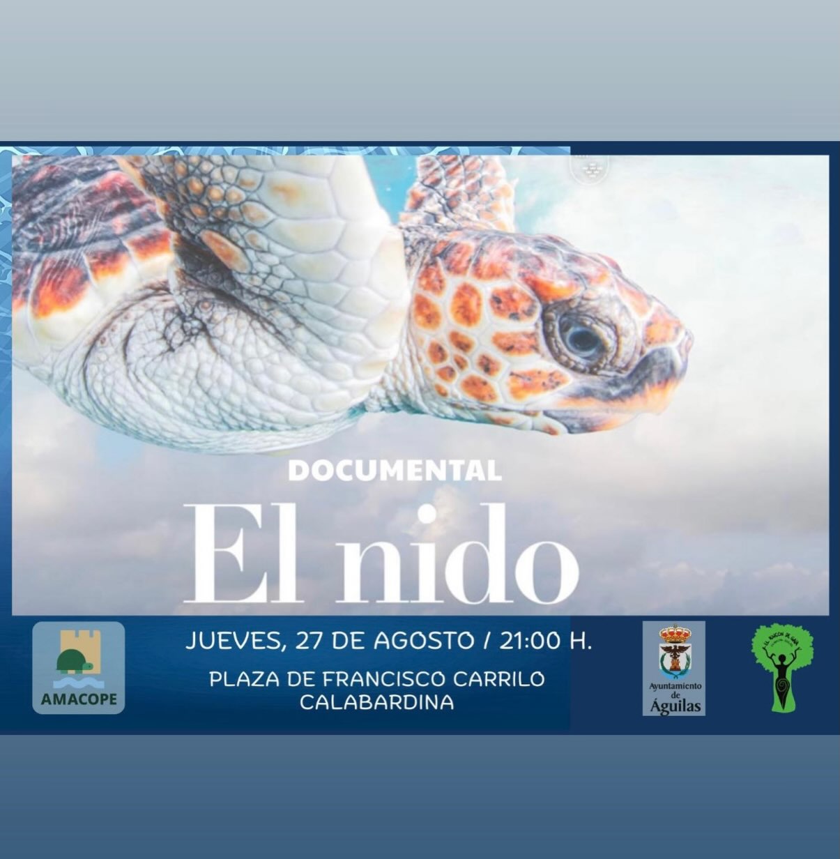 Imagen de Proyección del documental 'El nido' sobre la tortuga boba